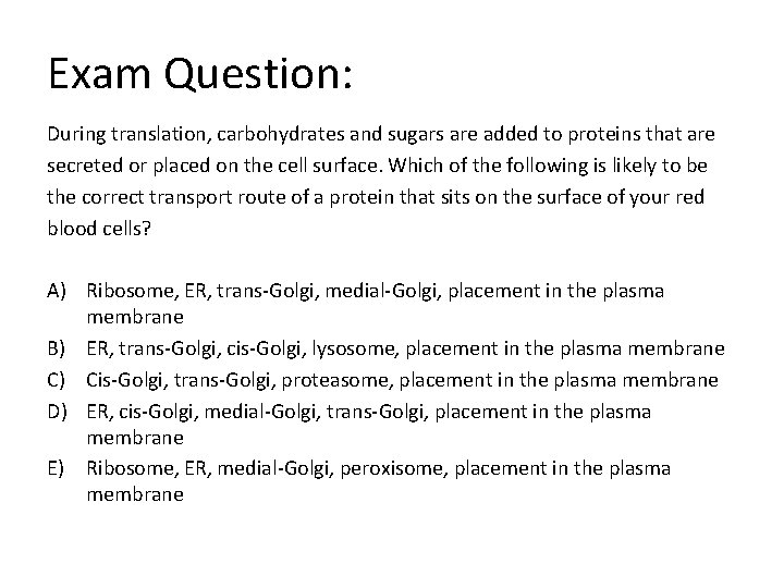 Exam Question: During translation, carbohydrates and sugars are added to proteins that are secreted