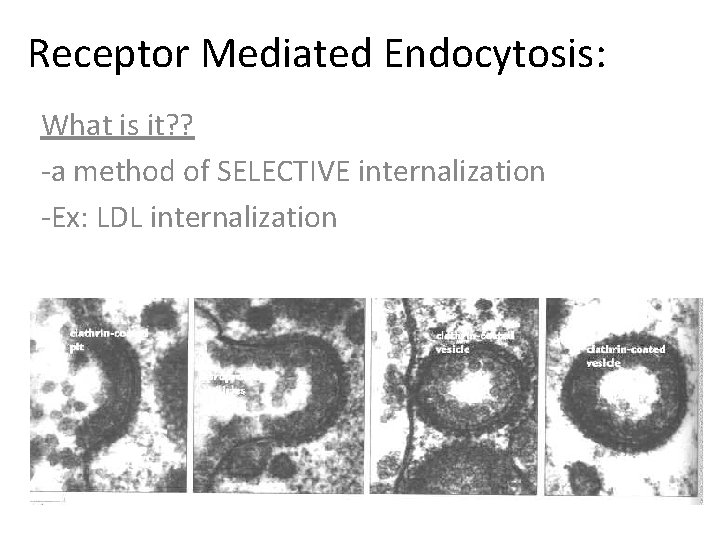 Receptor Mediated Endocytosis: What is it? ? -a method of SELECTIVE internalization -Ex: LDL