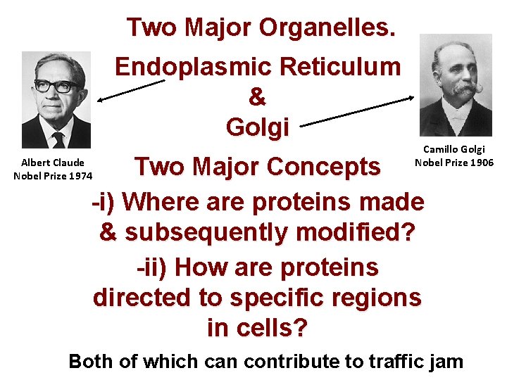 Two Major Organelles. Endoplasmic Reticulum & Golgi Camillo Golgi Nobel Prize 1906 Two Major