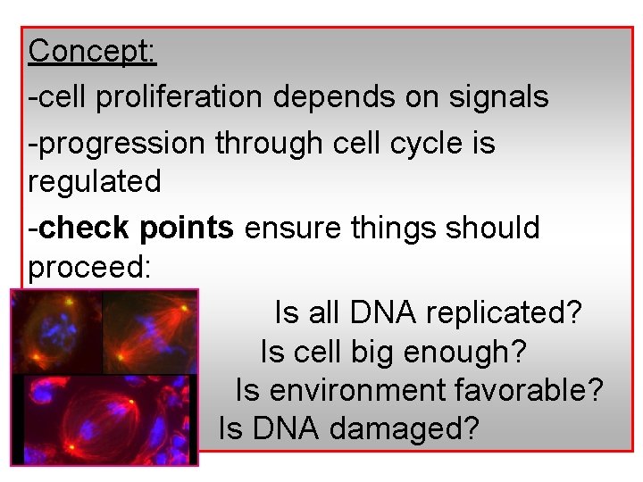 Concept: -cell proliferation depends on signals -progression through cell cycle is regulated -check points