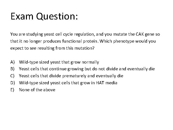 Exam Question: You are studying yeast cell cycle regulation, and you mutate the CAK