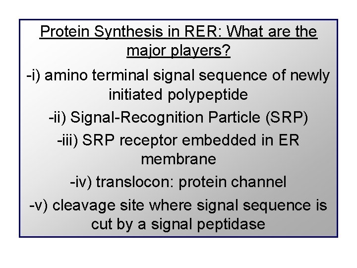 Protein Synthesis in RER: What are the major players? -i) amino terminal signal sequence