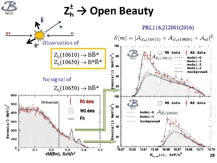 Observation of _ Zb(10610) BB* _ Zb(10650) B*B* No signal of _ Zb(10650) BB*