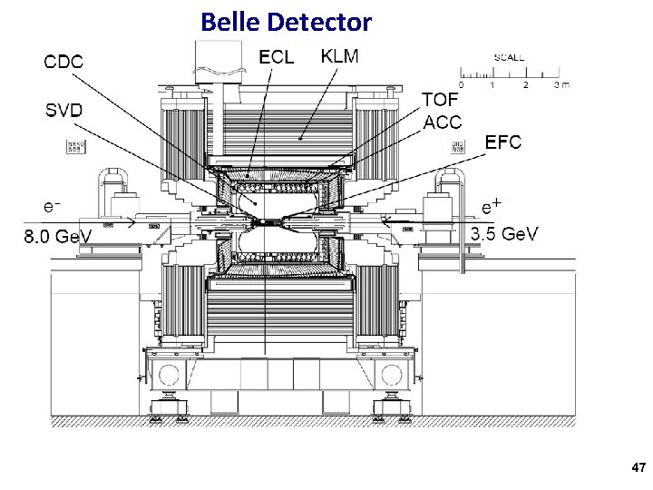 Belle Detector 47 