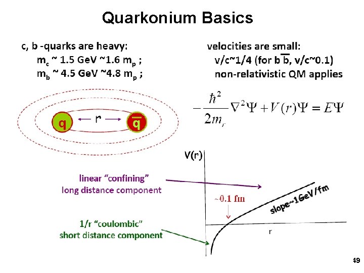 Quarkonium Basics 49 