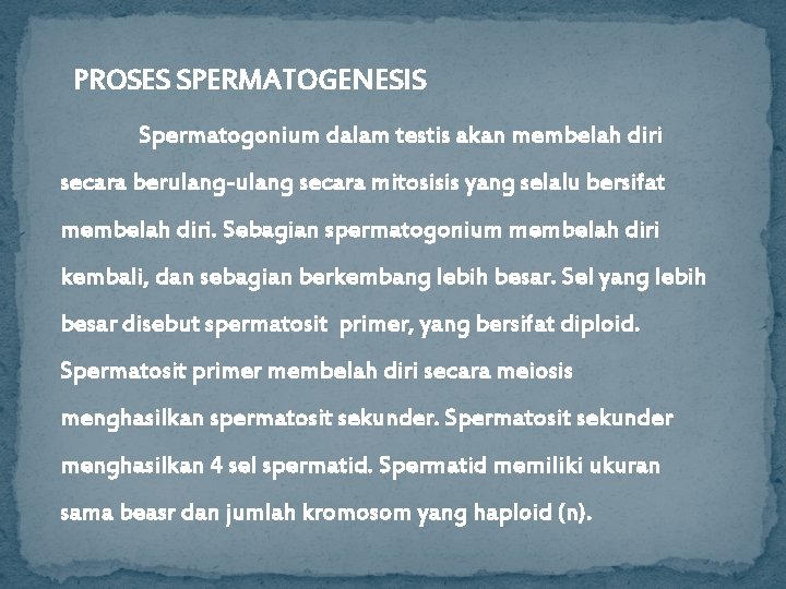 PROSES SPERMATOGENESIS Spermatogonium dalam testis akan membelah diri secara berulang-ulang secara mitosisis yang selalu