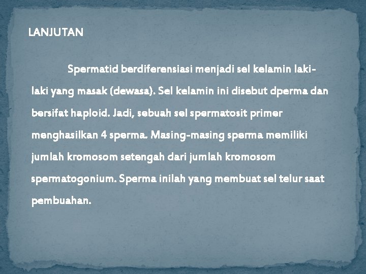 LANJUTAN Spermatid berdiferensiasi menjadi sel kelamin laki yang masak (dewasa). Sel kelamin ini disebut