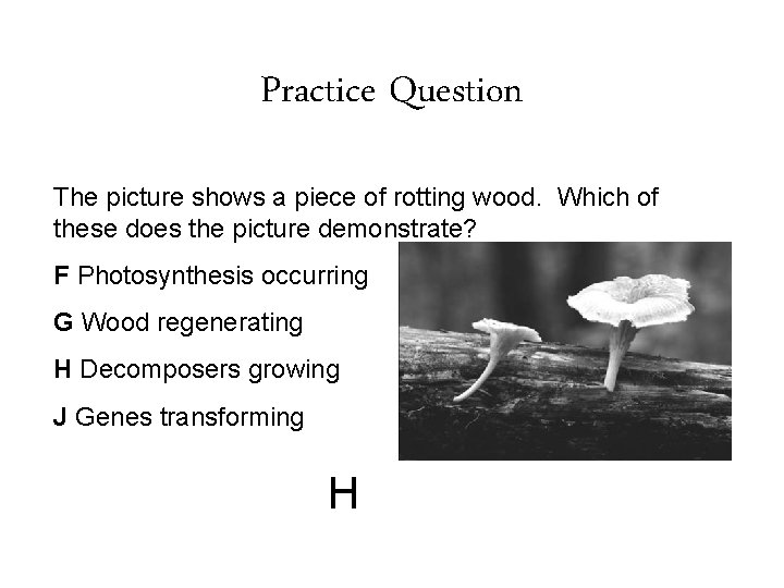 Practice Question The picture shows a piece of rotting wood. Which of these does