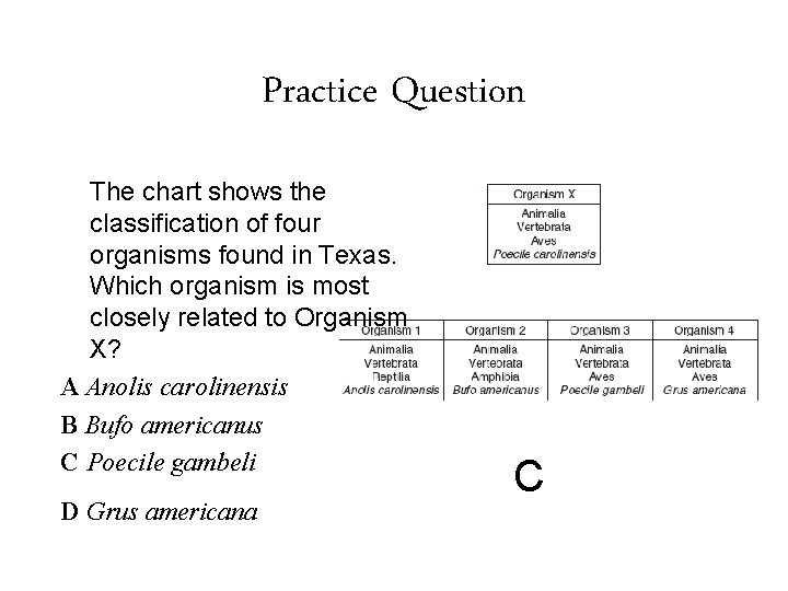 Practice Question The chart shows the classification of four organisms found in Texas. Which