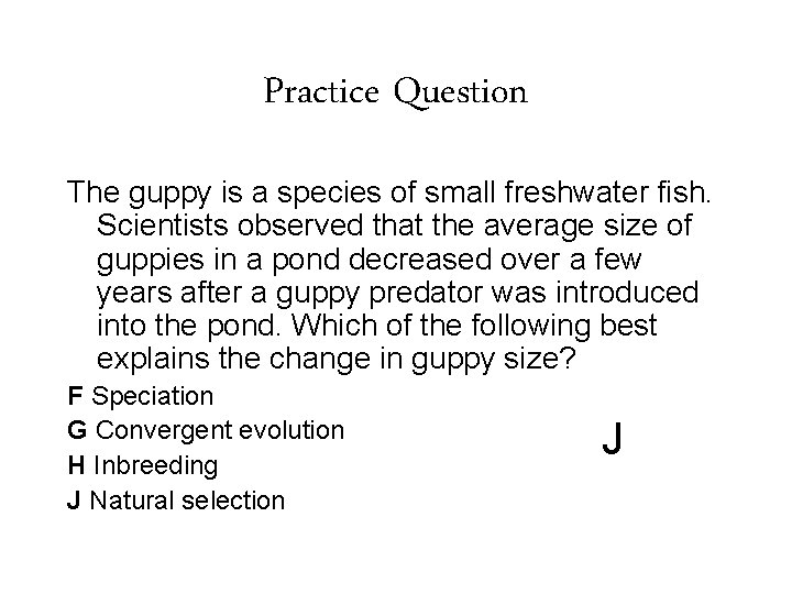 Practice Question The guppy is a species of small freshwater fish. Scientists observed that