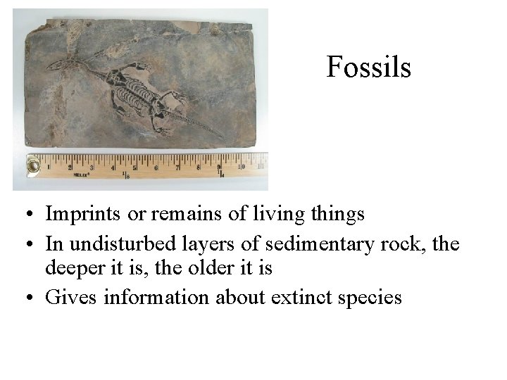 Fossils • Imprints or remains of living things • In undisturbed layers of sedimentary