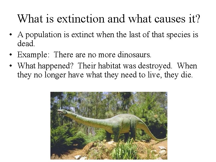 What is extinction and what causes it? • A population is extinct when the