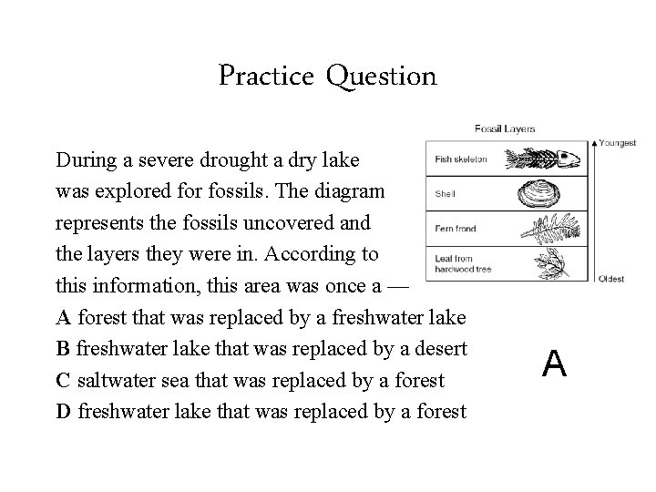 Practice Question During a severe drought a dry lake was explored for fossils. The