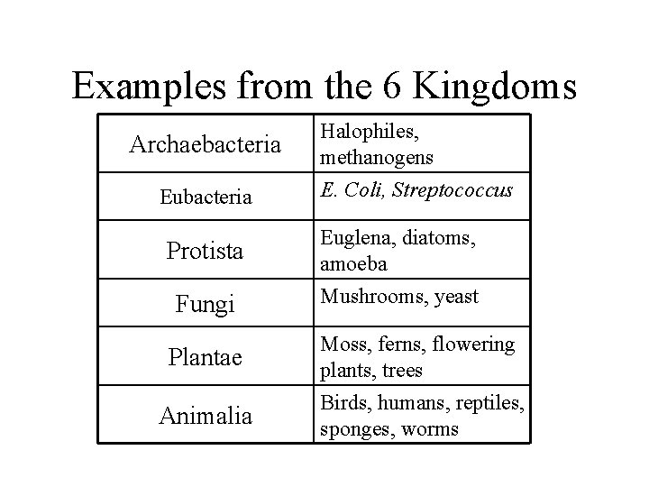 Examples from the 6 Kingdoms Archaebacteria Eubacteria Halophiles, methanogens E. Coli, Streptococcus Protista Euglena,