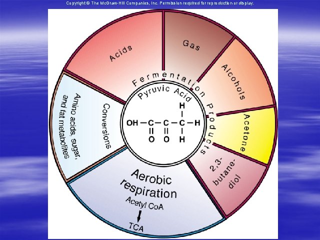 Copyright © The Mc. Graw-Hill Companies, Inc. Permission required for reproduction or display. 