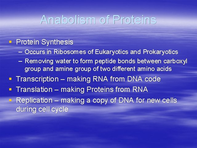 Anabolism of Proteins § Protein Synthesis – Occurs in Ribosomes of Eukaryotics and Prokaryotics