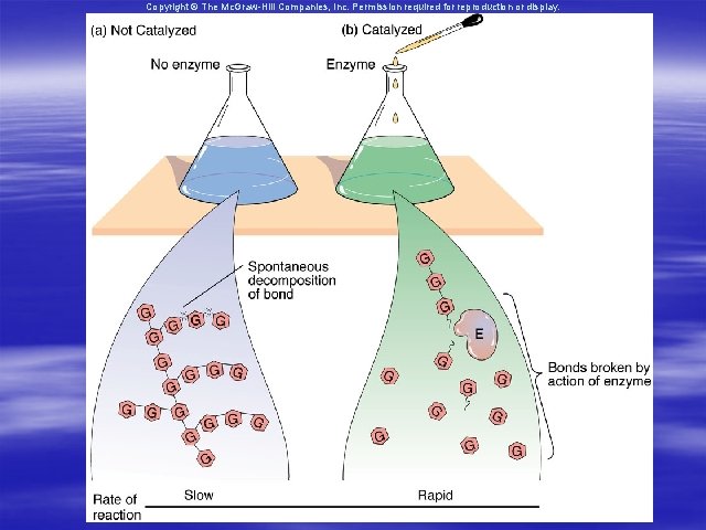 Copyright © The Mc. Graw-Hill Companies, Inc. Permission required for reproduction or display. 