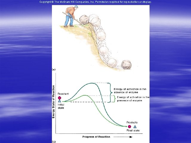 Copyright © The Mc. Graw-Hill Companies, Inc. Permission required for reproduction or display. 