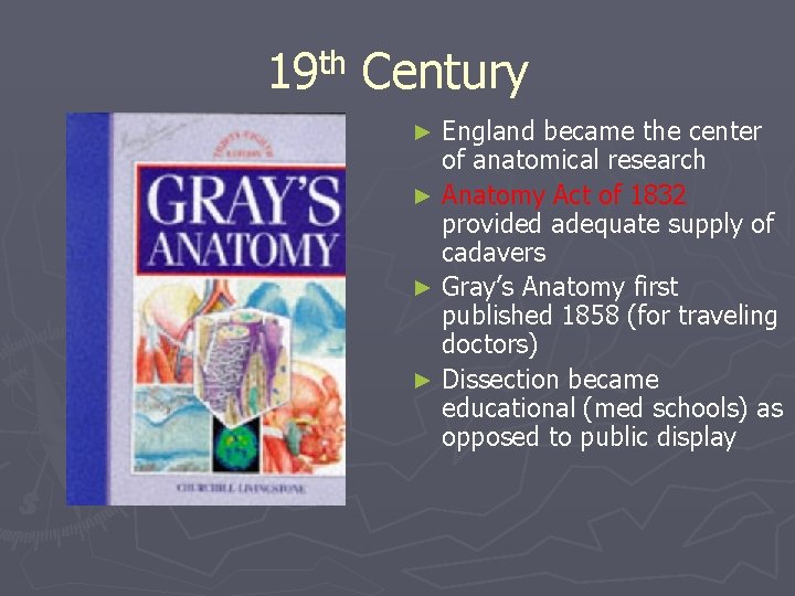 th 19 Century England became the center of anatomical research ► Anatomy Act of