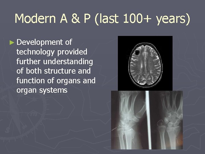 Modern A & P (last 100+ years) ► Development of technology provided further understanding