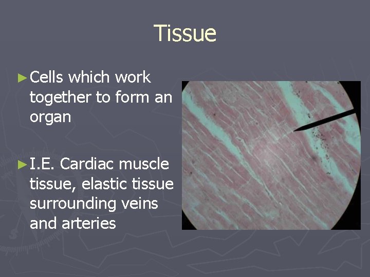 Tissue ► Cells which work together to form an organ ► I. E. Cardiac