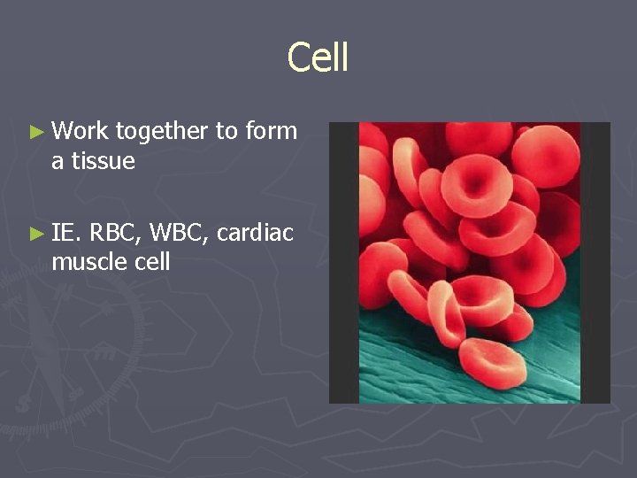 Cell ► Work together to form a tissue ► IE. RBC, WBC, cardiac muscle