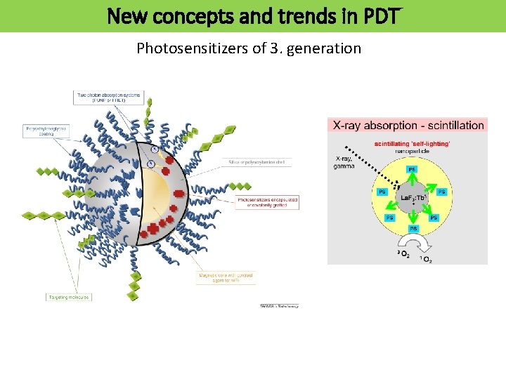 New concepts and trends in PDT Photosensitizers of 3. generation 