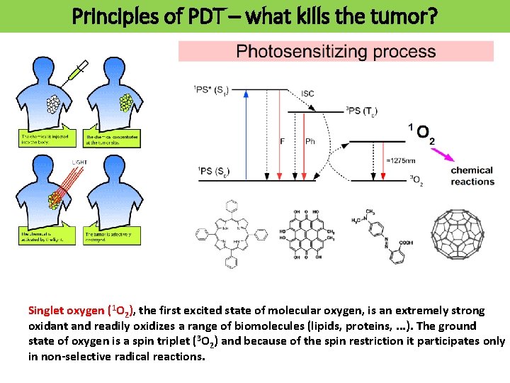Principles of PDT – what kills the tumor? Singlet oxygen (1 O 2), the