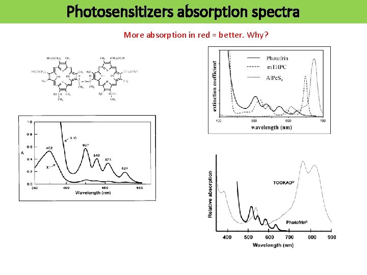 Photosensitizers absorption spectra More absorption in red = better. Why? 