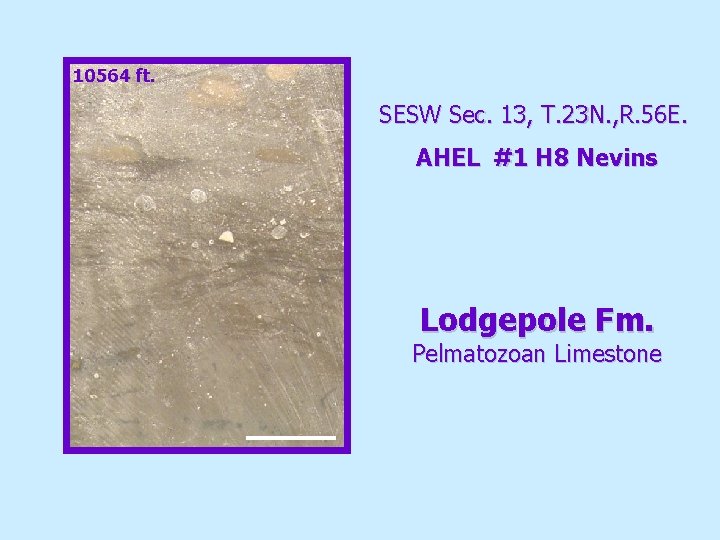 10564 ft. SESW Sec. 13, T. 23 N. , R. 56 E. AHEL #1