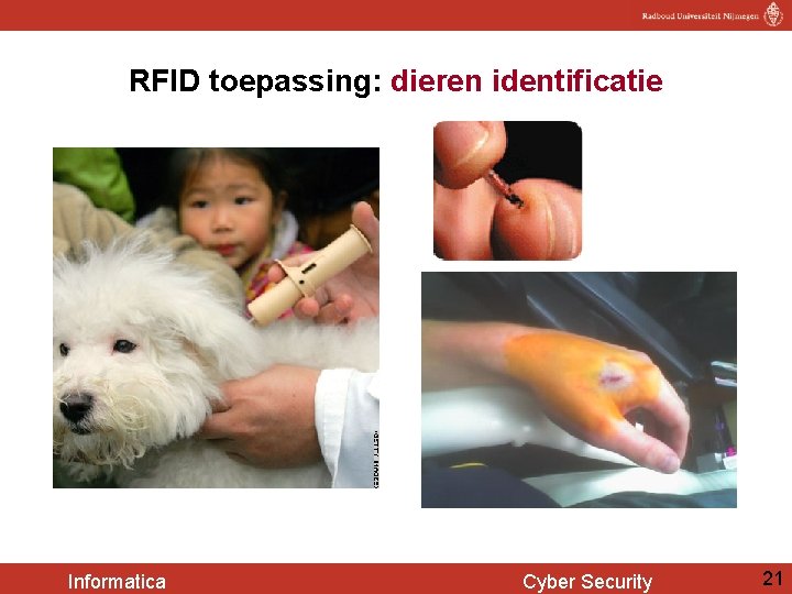 RFID toepassing: dieren identificatie Informatica Cyber Security 21 