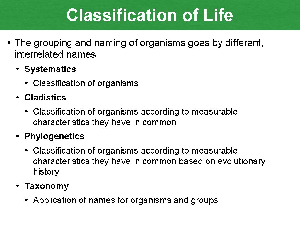Classification of Life • The grouping and naming of organisms goes by different, interrelated