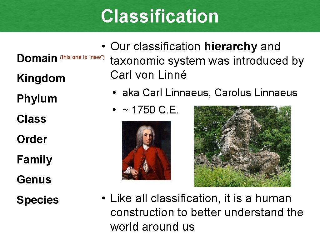 Classification • Our classification hierarchy and Domain (this one is “new”) taxonomic system was