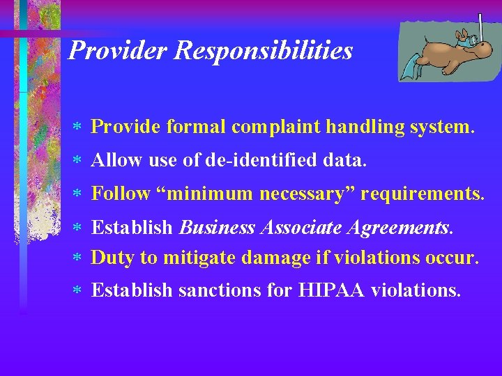 Provider Responsibilities * Provide formal complaint handling system. * Allow use of de-identified data.