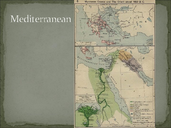 Mediterranean 