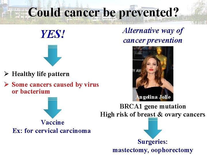 Could cancer be prevented? YES! Alternative way of cancer prevention Ø Healthy life pattern