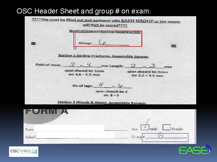 OSC Header Sheet and group # on exam: 