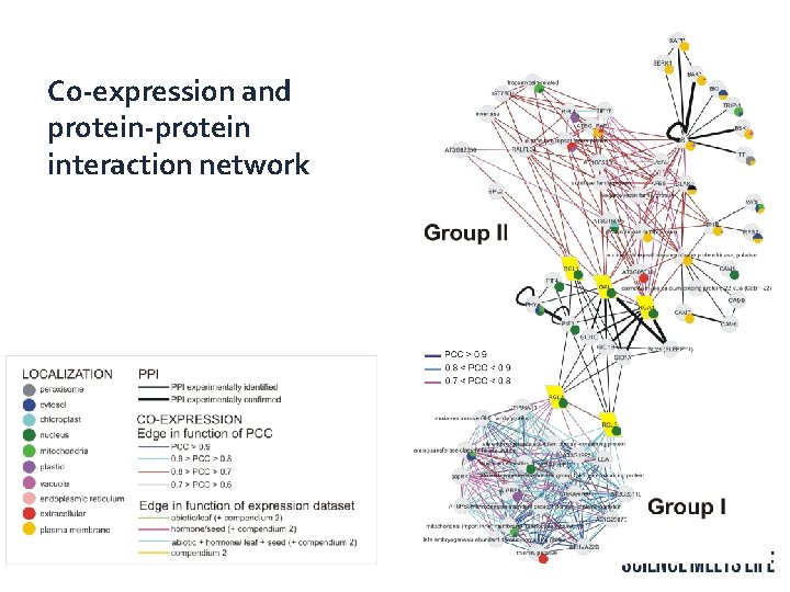 Co-expression and protein-protein interaction network 