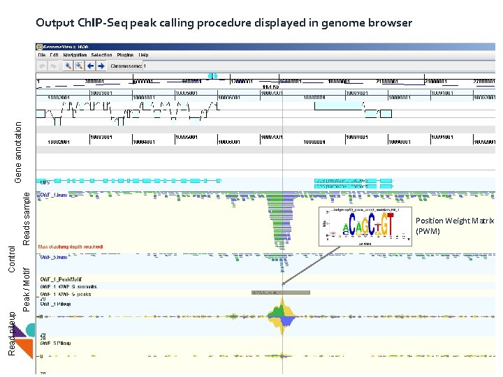 Peak / Motif Read pileup Control Reads sample Gene annotation Output Ch. IP-Seq peak
