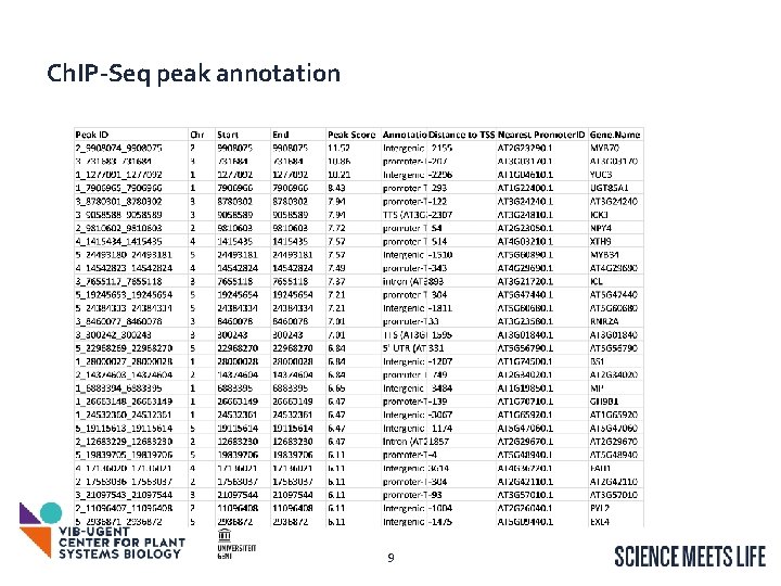 Ch. IP-Seq peak annotation 9 
