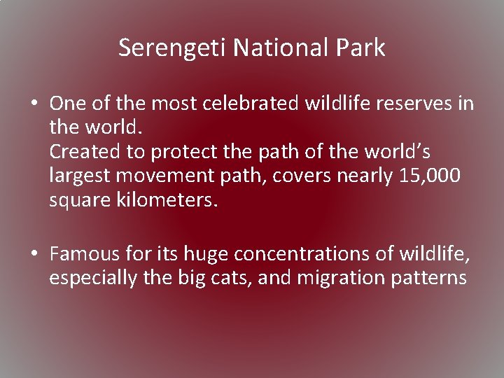Serengeti National Park • One of the most celebrated wildlife reserves in the world.