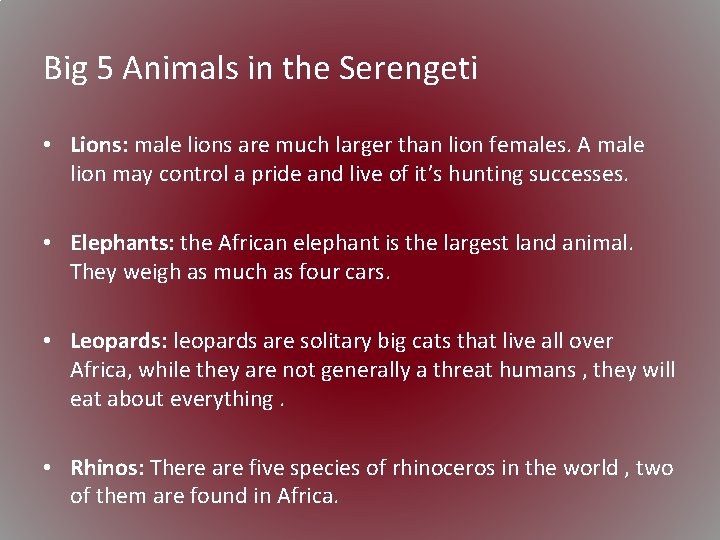 Big 5 Animals in the Serengeti • Lions: male lions are much larger than