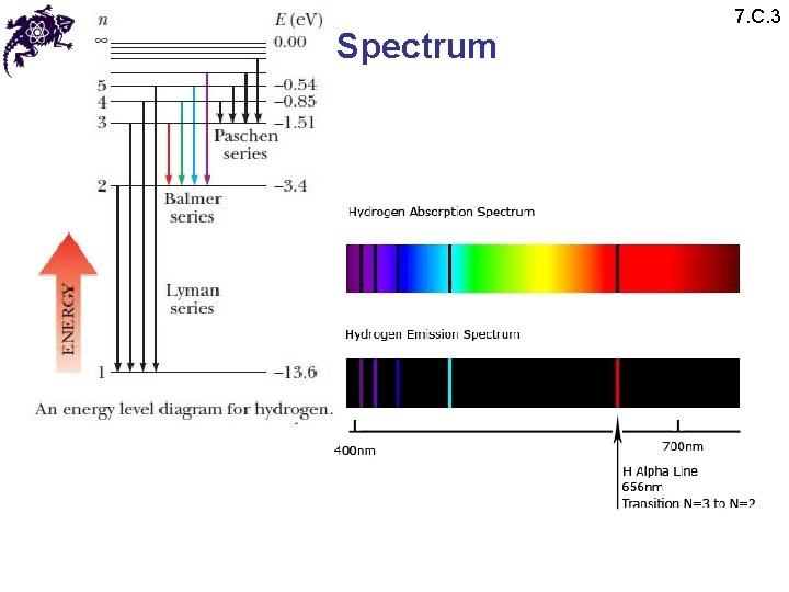 Spectrum 7. C. 3 