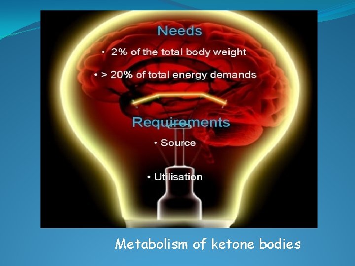 Metabolism of ketonе bodies 