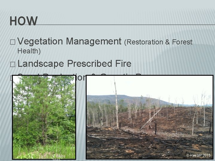 HOW � Vegetation Health) Management (Restoration & Forest � Landscape Prescribed Fire � Seed