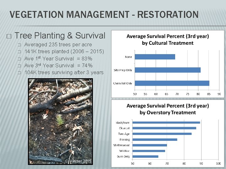 VEGETATION MANAGEMENT - RESTORATION � Tree Planting & Survival � � � Averaged 235