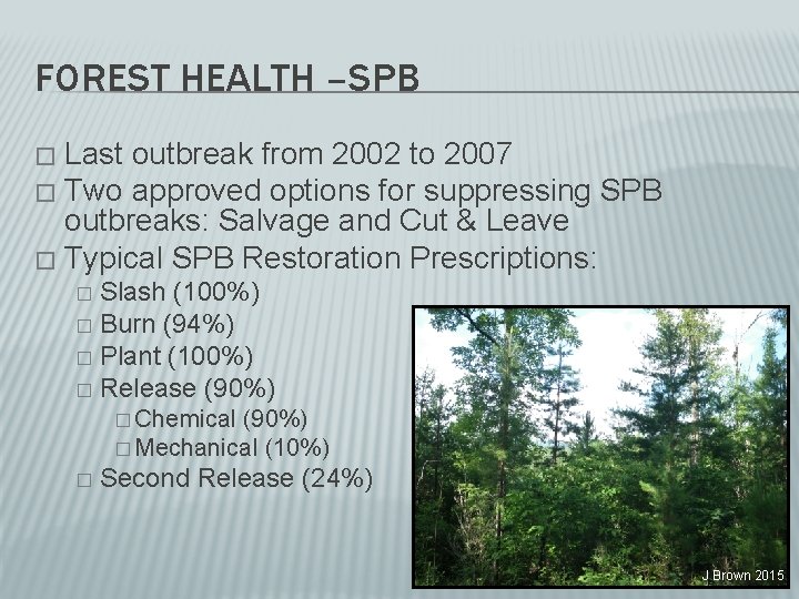 FOREST HEALTH –SPB Last outbreak from 2002 to 2007 � Two approved options for
