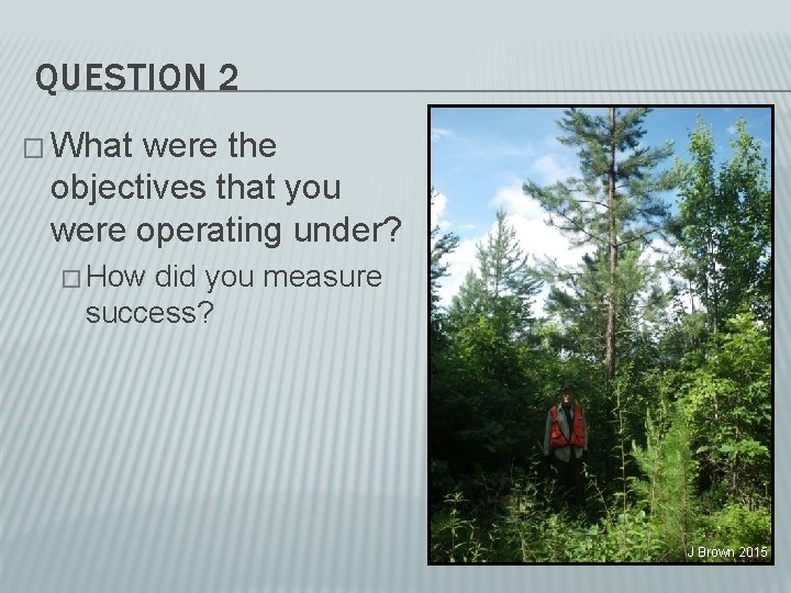 QUESTION 2 � What were the objectives that you were operating under? � How