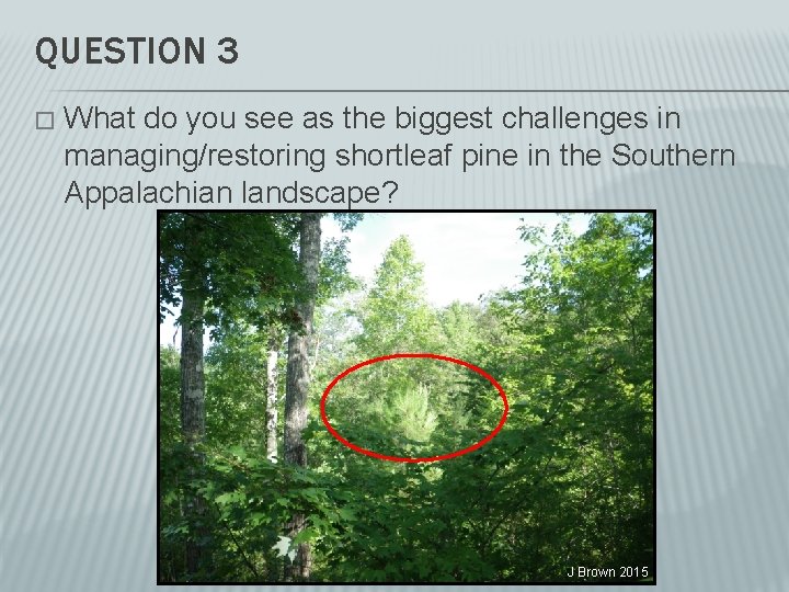 QUESTION 3 � What do you see as the biggest challenges in managing/restoring shortleaf