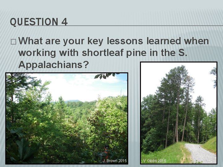 QUESTION 4 � What are your key lessons learned when working with shortleaf pine